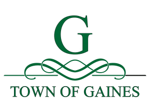 Town of Gaines